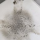 지우약품 | 양산 증산 청소업체 신양산 코아루 오피스텔 입주청소작업후기!