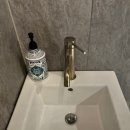 새돼지식당 이미지