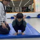 용인대라이온즈태권도장 이미지