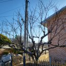 전지보건진료소 이미지