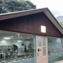정하도예