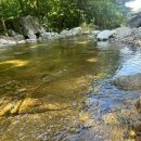 청정계곡 | 무주 구천동 계곡 맛집 “무주청정다슬기맛집” 솔직후기