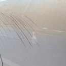 부산판금도색 BMW550d리페어 샤인모터스후기!