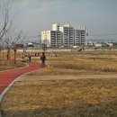 남천둔치2 이미지