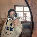 냥이의꿈 | 구례 감성 여행 코스 | 봉성피자 + 바꿈살이 솔직 후기 ❣️