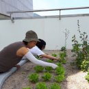 반송1동-8 이미지