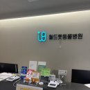 월드펫동물병원 | 내돈내산 부천 강아지 침치료 강아지한의원 노견디스크치료 월드펫동물병원