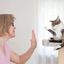 이상메디칼 이미지