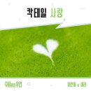 새라 이미지