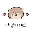 뽀송하댕 이미지