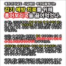 ★★ 전라도 홍어가 대구 경북과 대한민국 코로나19 사태를 막을 수 있다! 이미지