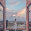 제주 브로딕 이미지