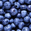 밝은안경원 이미지