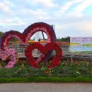 화순 하니움문화스포츠센터 문화광장 | 2026 화순 꽃강길축제 꽃축제 주차, 애견 , 행사 일정