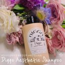오몽 애견미용실 | [리뷰] 강아지 샴푸 추천 “디고 에스테틱 샴푸 (Diggo Aesthetic Shampoo)” 애견 셀프 목욕 시키기