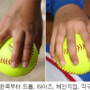 국민생활체육전국소프트볼연합회 이미지