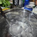 양촌여울체험캠프 | 창원 물놀이 펜션 추천💦 양촌여울체험캠프에서 피자만들기까지!