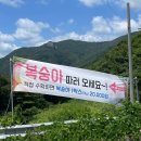 입석리농장 | 대구 근교 아이와 가볼 만한 곳 복숭아 따기 체험