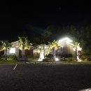 표선 휴 이미지