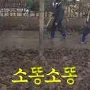 파티콩콩