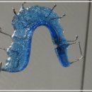 365효플란트치과의원 이미지