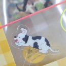 피자대학치킨학과 이미지