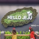 신양파크모텔 | 제주 아이와 가볼만한 곳 추천, 아기랑 갈만한곳 4박5일 일정 공유
