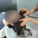 부산두피관리 맞춤두피케어 솔직 후기 : 모나드두피탈모센터 부산본점
