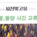 광양 포항 교류전 이미지