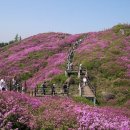 [100대명산] 지리산 바래봉(철쭉 축제) 산행 합니다... *06시30분 출발*(영등포역 시점 기준) 이미지