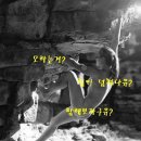 보인당