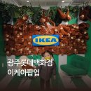 (광주 롯데백화점) 이케아 팝업 주말 다녀온 후기