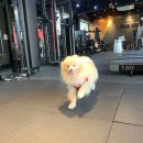 굿핏 이미지