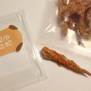 주식회사 동물의집 이미지