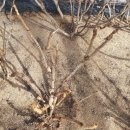 내방농장 이미지