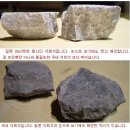 중국 시멘트와 한국 시멘트의 금붕어 독성실험 결과!(바다와 소라) 이미지