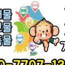 손오공청과