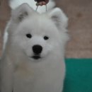 스타클라우드 이미지