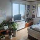 주택나라 공인중개사사무소 이미지