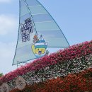 준노래연습장 | 2026 화성 뱃놀이 축제 아기랑 방문 후기 주차 유모차 대여