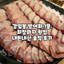강일동 방어회 1등, 회장마차 횟집 내돈내산 솔직 후기
