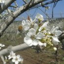 삼오농장 이미지