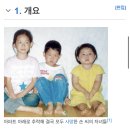 인천 일가족 비속살해 자살사건 이미지