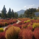 거창-위천-5 이미지