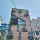 베트남 다낭 클럽 혼자 가도 즐거운 OQ 뉴골든파인