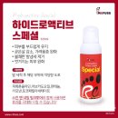 레푸스전주