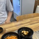 탕정면 삼성로 | [내돈내산] 방가삼대 얼큰한 뼈해장국, 탕정본점, 내돈내산으로 뼈해장국 먹은 후기