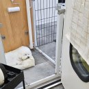 안녕, 상이 친구들! 이미지