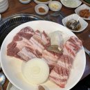 새한라회관 티스토리