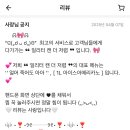 일리터캔더저렴